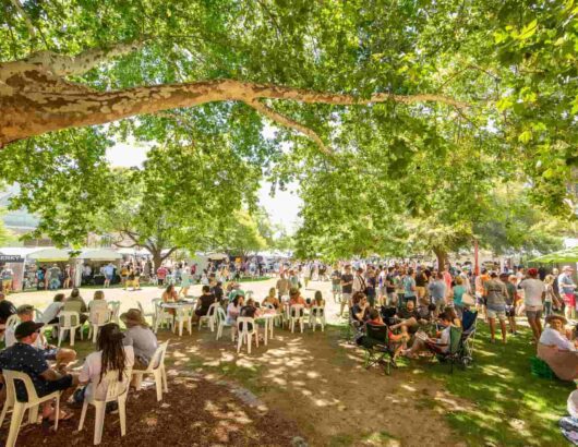 Great-Australian-Beer-Festival